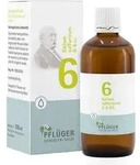 Biochemie Pfl&uuml;ger 6 Kalium Sulfur D6 Tropfen