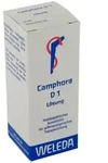 Camphora D1 Dilution