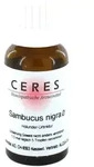 Ceres Sambucus nigra Urtinktur