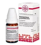Harpagophytum Proc. D12 Globuli