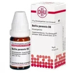 Bellis Perennis D6 Globuli