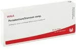 Periodontium/ Stannum Comp. Ampullen