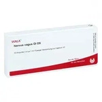 Nervus Vagus Gl D5 Ampullen