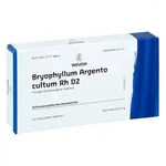 Bryophyllum Argento Cultum Rh D2 Ampullen