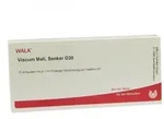 Viscum Mali Senker D30 Ampullen