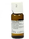 Arnica Planta Tota D6 Dilution