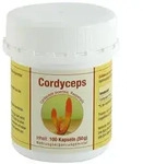 Cordyceps sinensis Kapseln