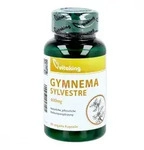 Gymnema Sylvestre 400 mg Kapseln