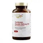 Cordyceps Extrakt 500 mg Cs4 40% Polysacchar.kaps.
