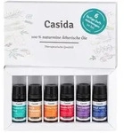 &auml;therische &ouml;le Duftmischungen Set Naturrein Top 6