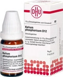 PZN-DE 02638480, DHU Kalium phosphoricum D 12 Globuli Inhalt: 10 g, Grundpreis: