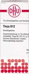 PZN-DE 02107630, DHU Thuja D 12 Globuli Inhalt: 10 g, Grundpreis: &euro; 758,-...