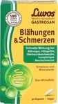 PZN-DE 19815940, Luvos Gastrosan Bl&auml;hungen & Schmerzen Kapseln Inhalt: 30 St