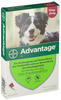 PZN-DE 08613328, Advantage für Hunde von 10-25 kg Lösung Inhalt: 4 St