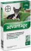 PZN-DE 08613305, Advantage für Hunde bis 4 kg Lösung Inhalt: 4 St