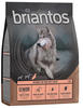4 kg Briantos Senior Trockenfutter für Hunde: Pute & Kartoffel (getreidefrei)