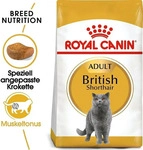 Royal Canin Breed Royal Canin British Shorthair Adult - 4 kg (Katzenfutter),