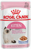 Royal Canin Kitten in Gelee - 12 x 85 g