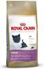 10kg British Shorthair Kitten Royal Canin Breed Kittenfutter trocken