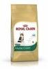 Royal Canin Maine Coon Kitten Sparpaket: 2 x 10 kg