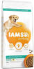 12kg IAMS Advanced Nutrition Adult Small & Medium Dog mit Huhn Hundefutter trocken