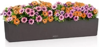 Lechuza BALCONERA Stone 100 Blumenkasten, graphit, 99 x 19 x 19cm, aus...