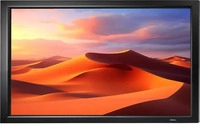 Celexon Beamer-Leinwand HomeCinema Frame, 135 Zoll, 300 x 169 cm, Format 16:9,