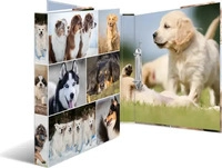 Herma Ringbuch 19427 Animals, A4, 2 Ringe, Ring-&Oslash; 20mm, Motiv Hunde