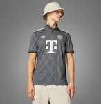 Adidas IW7299-0001, Adidas FC Bayern M&uuml;nchen 24/25 Wiesn Trikot Grey Six M&auml;nner