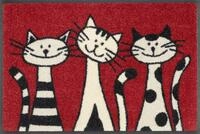 wash+dry Fu&szlig;matte, Three Cats 40x60 cm, innen und au&szlig;en, waschbar