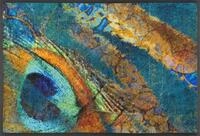 wash+dry Fu&szlig;matte, Exotic Pavo 50x75cm, innen und au&szlig;en, waschbar