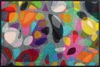 wash+Dry Fu&szlig;matte Reodiva 50x75cm, innen und au&szlig;en, waschbar