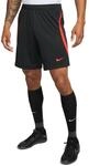 Nike Herren Shorts Strk