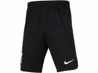 Nike Unisex Kinder Shorts LFC Y Nk Df Stad Short Aw, Black/White, DX2786-010, L