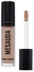 Pro Light Concealer W35