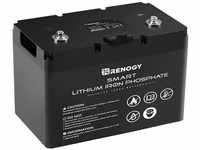 Renogy LiFePO4 12V 100Ah Lithium Batterie Solarbatterie mit Smart BMS -