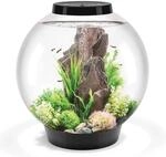 biOrb CLASSIC 60 LED noir