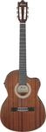 IBANEZ GA Konzertgitarre 6-String - Open Pore Natural