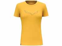 SALEWA Pure Eagle Frame Dry'ton T-Shirt Damen