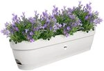 elho Vibia Campana Balkonkasten 70 mit Wasserreservoir - Blumentopf Balkon - 100%