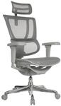 Drehstuhl Ergohuman Slim Ultra G Gen 2 Grau