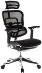 Drehstuhl Ergohuman Ultra G Gen 2 Grau