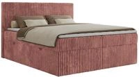 BOXBETT TILIANO 200/200 - Rosa Cord - H4