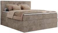 BOXSPRINGBETT TILIANO KING - 160/200 - Hellbraun Cord - H3