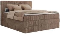 BOXSPRINGBETT TILIANO KING - 180/200 - Braun Cord - H3