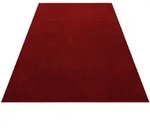 Hochflorteppich Ata Rot ca. 280x370cm Hochflorteppich Ata Rot ca. 280x370cm