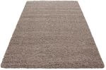 Hochflorteppich Life Beige Braun/Beige ca. 120x170cm
