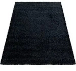 Hochflorteppich Brilliant Schwarz ca. 240x340cm Hochflorteppich Brilliant Schwarz ca. 240x340cm