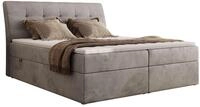 BOXBETT DAGOS 200/200 - Hellgrau Velvet - H4 - Topper Visco