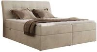 BOXBETT DAGOS 200/200 - Beige Velvet - H3 - Topper Visco